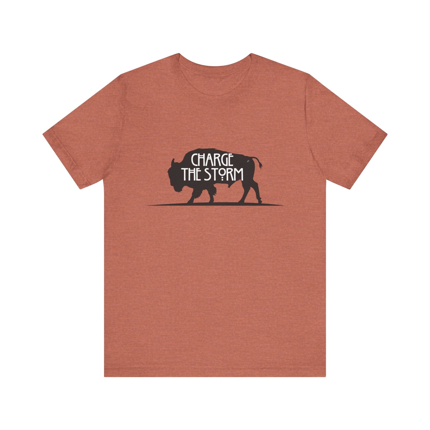 Charge the Storm t-shirt